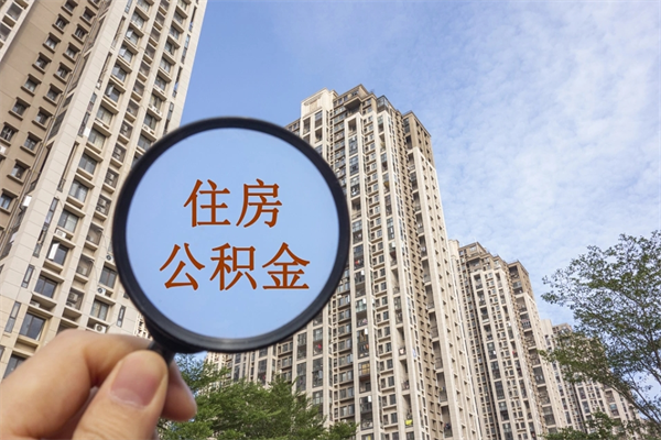 桐乡离职多久可以取住房公积金(离职多久后能取公积金) 桐乡离职多久可以取住房公积金(离职多久后能取公积金)